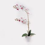 Διακοσμητικό φυτό σε γλάστρα Οrchid White Inart 36x17x65εκ